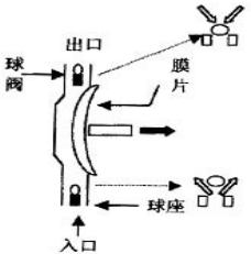 隔膜泵基本工作原理圖解
